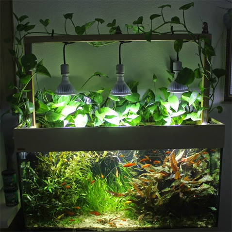 8. Do It Yourself LED Aquarium Lights