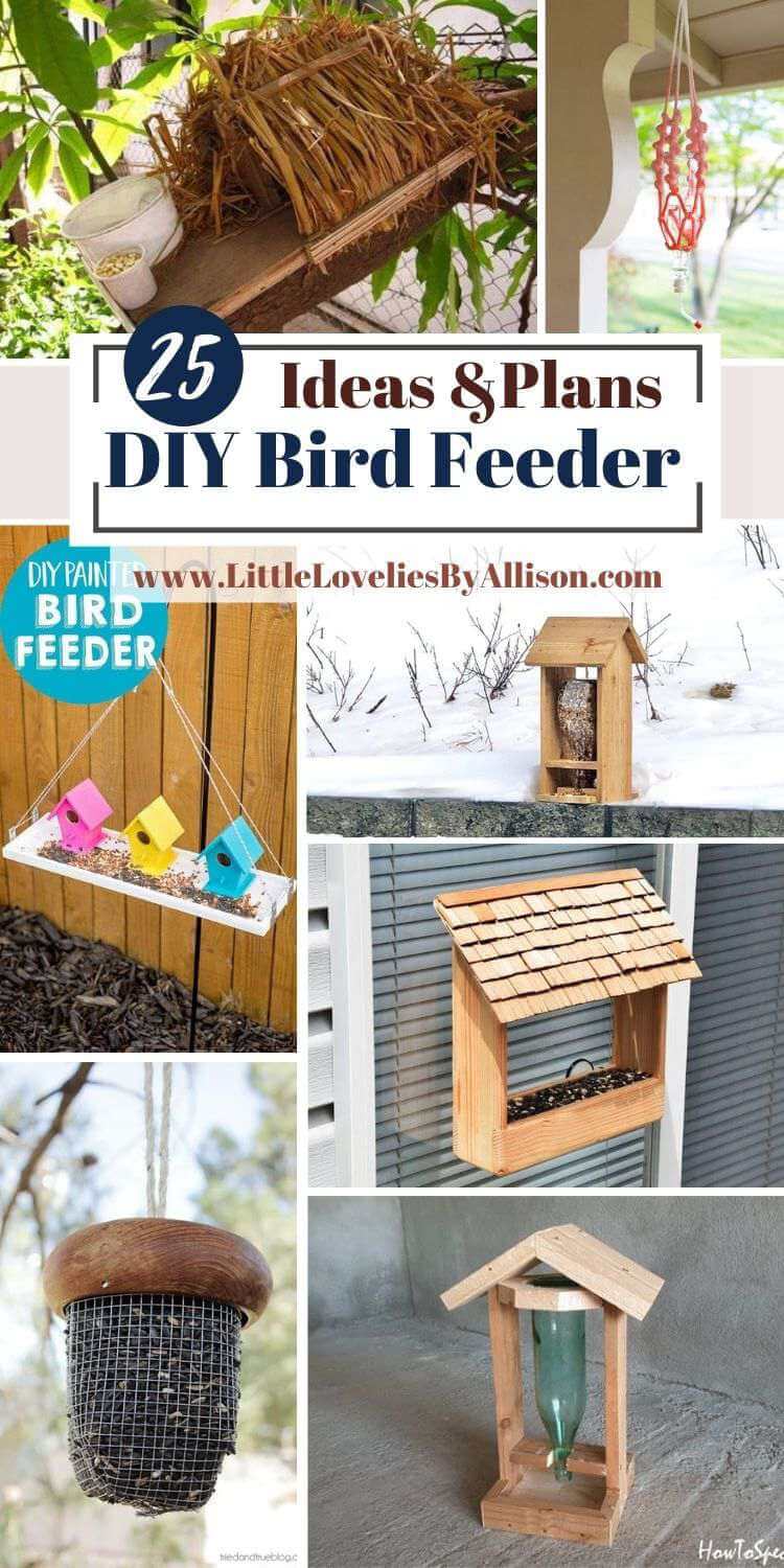 DIY Bird Feeder Plans