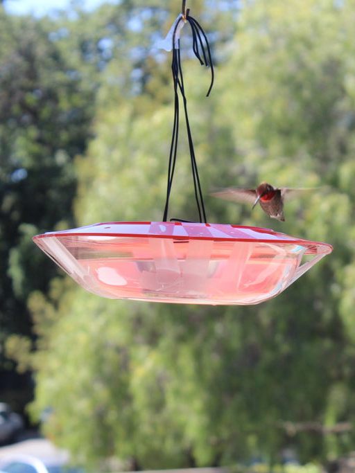 DIY Hummingbird Feeder Plans