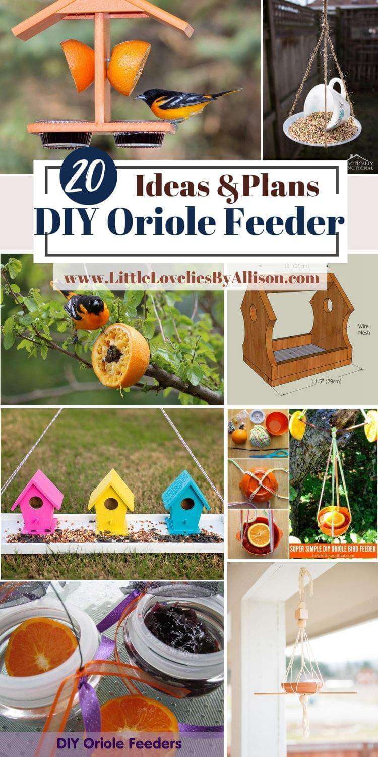 DIY Oriole Feeder Plans