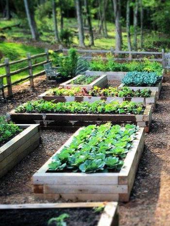 DIY Raised Garden Bed Plans