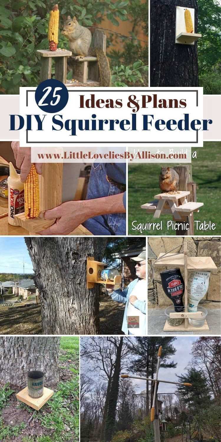 DIY Squirrel Feeder Plans