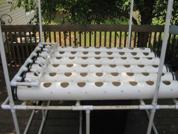 1. DIY Hydroponic System