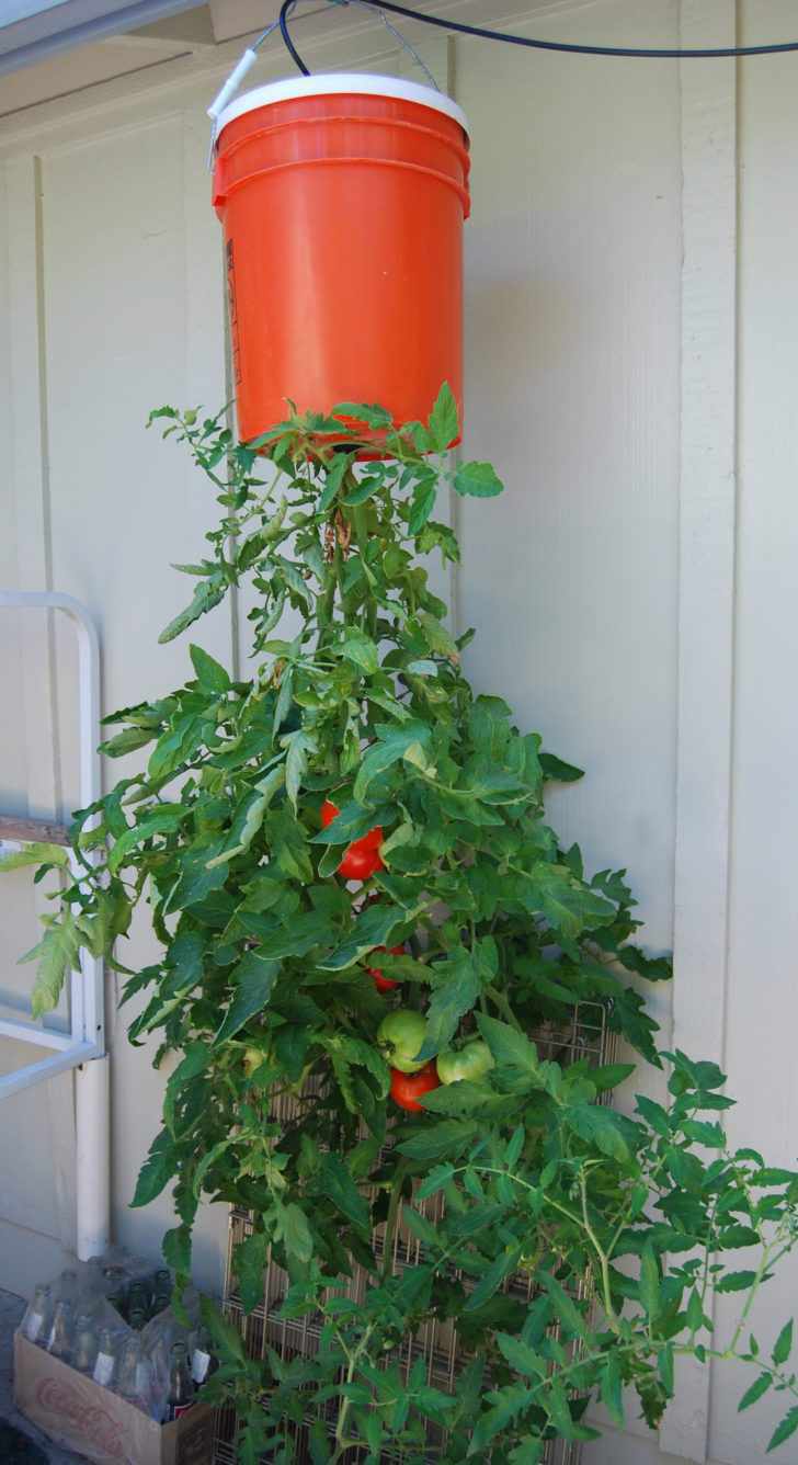 11. DIY Upside Down Tomato Cage