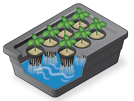 12. How To Build A Basic Hydroponic System