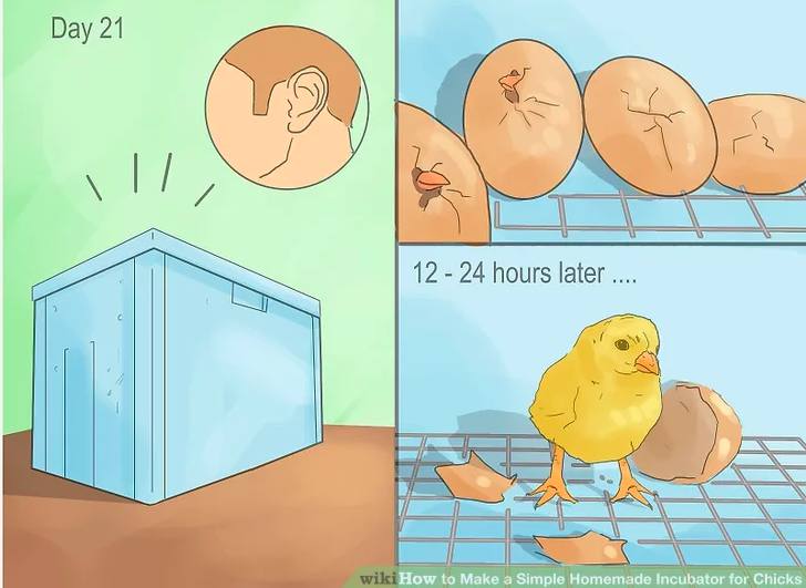 13. Homemade Incubator For Chicks