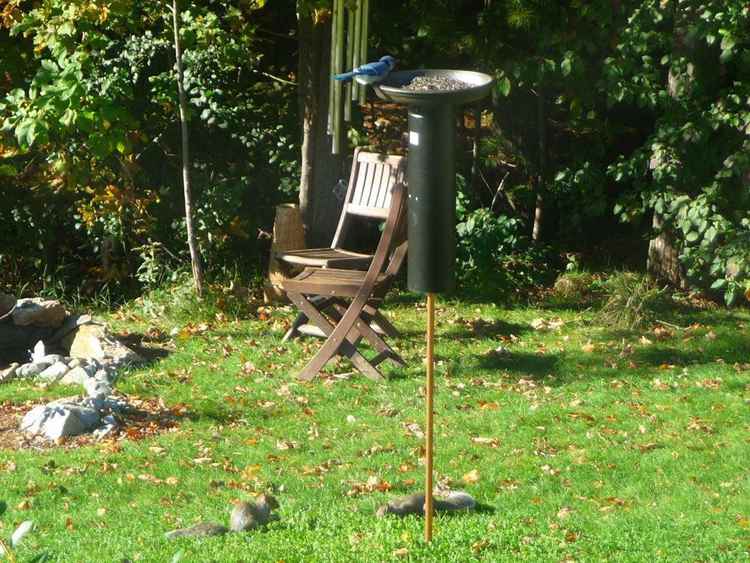 13. Squirrel Proof Bird Feeder DIY