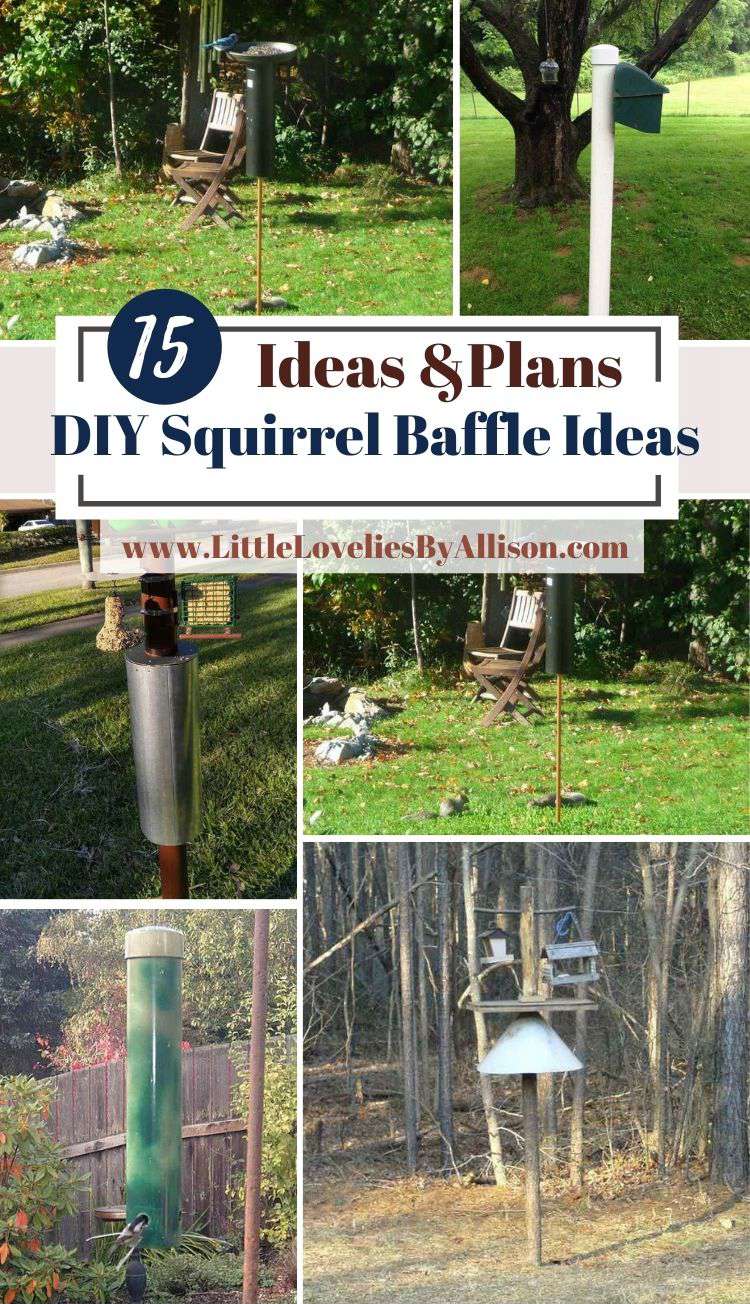 15 DIY Squirrel Baffle Ideas That Really Work