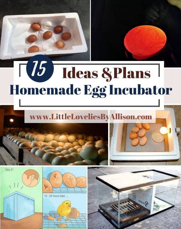 15 Homemade Egg Incubator Ideas_ How To Make An Egg Incubator