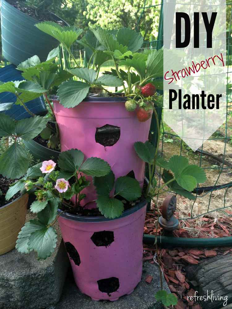 16. DIY Strawberry Planter From Recycled Materials