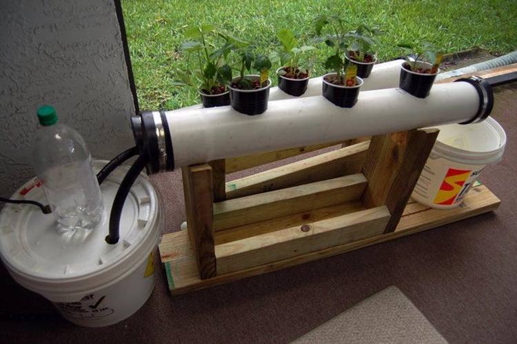 19. DIY Small NFT Hydroponic System