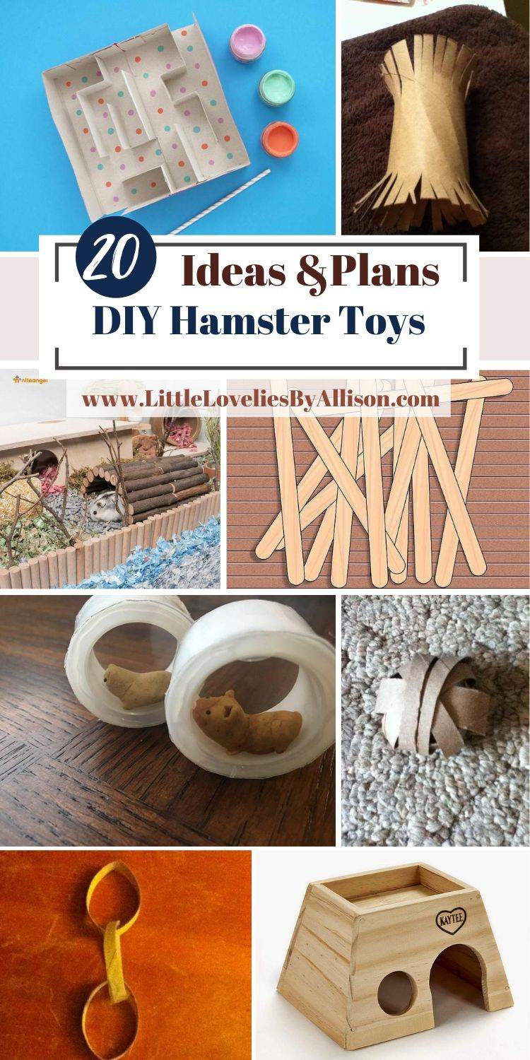 20 DIY Hamster Toys That Your Pet Will Love _ DIY Made Easy