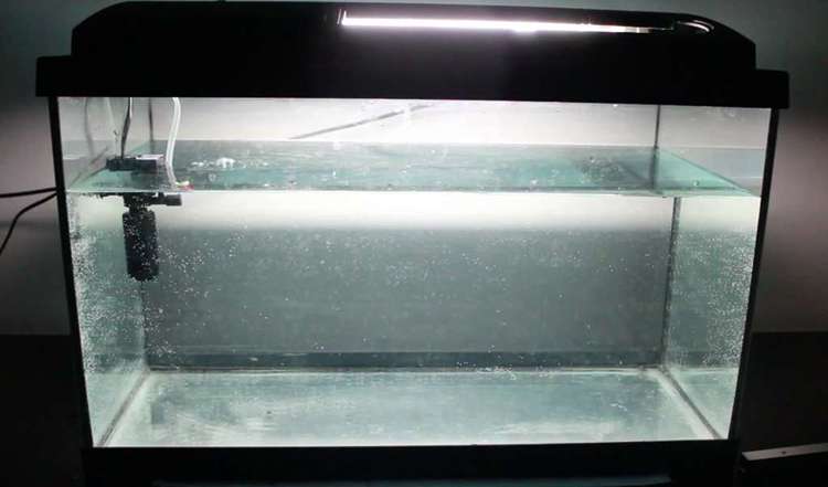 20. DIY Robotic Fish Tank