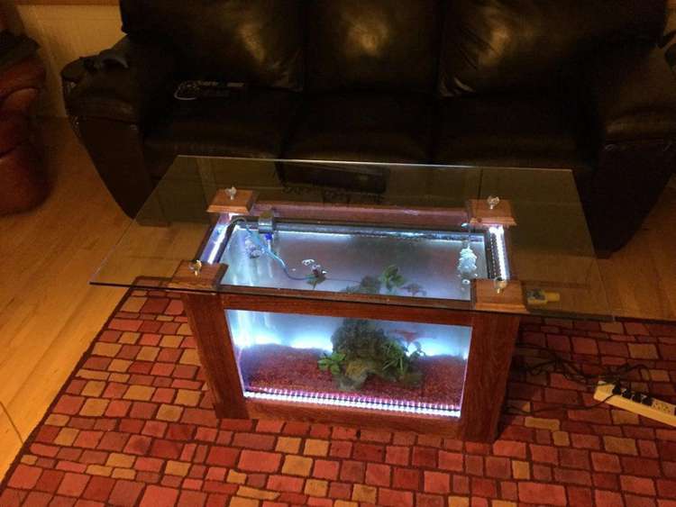 22. DIY Fish Tank Coffee Table