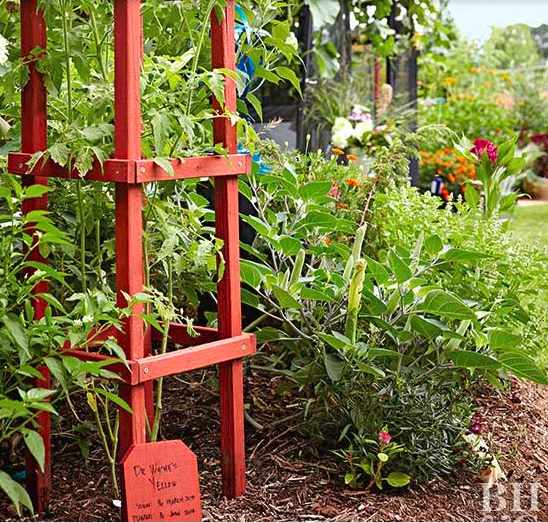 25. DIY Champion Trellis