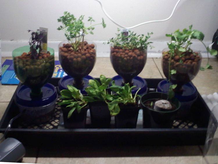 25. DIY Cheap Hydroponic System