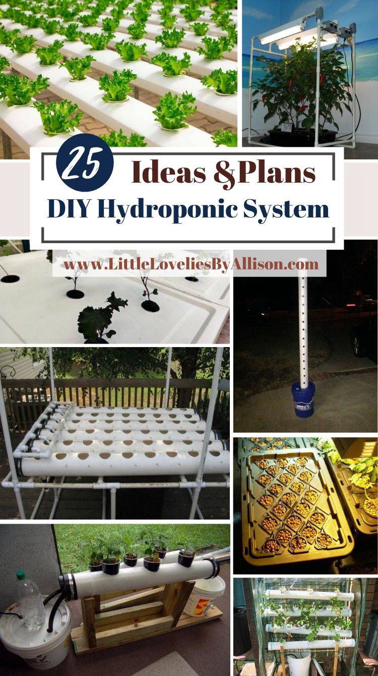 27. 25 DIY Hydroponic System Projects_ Build Like A Pro!