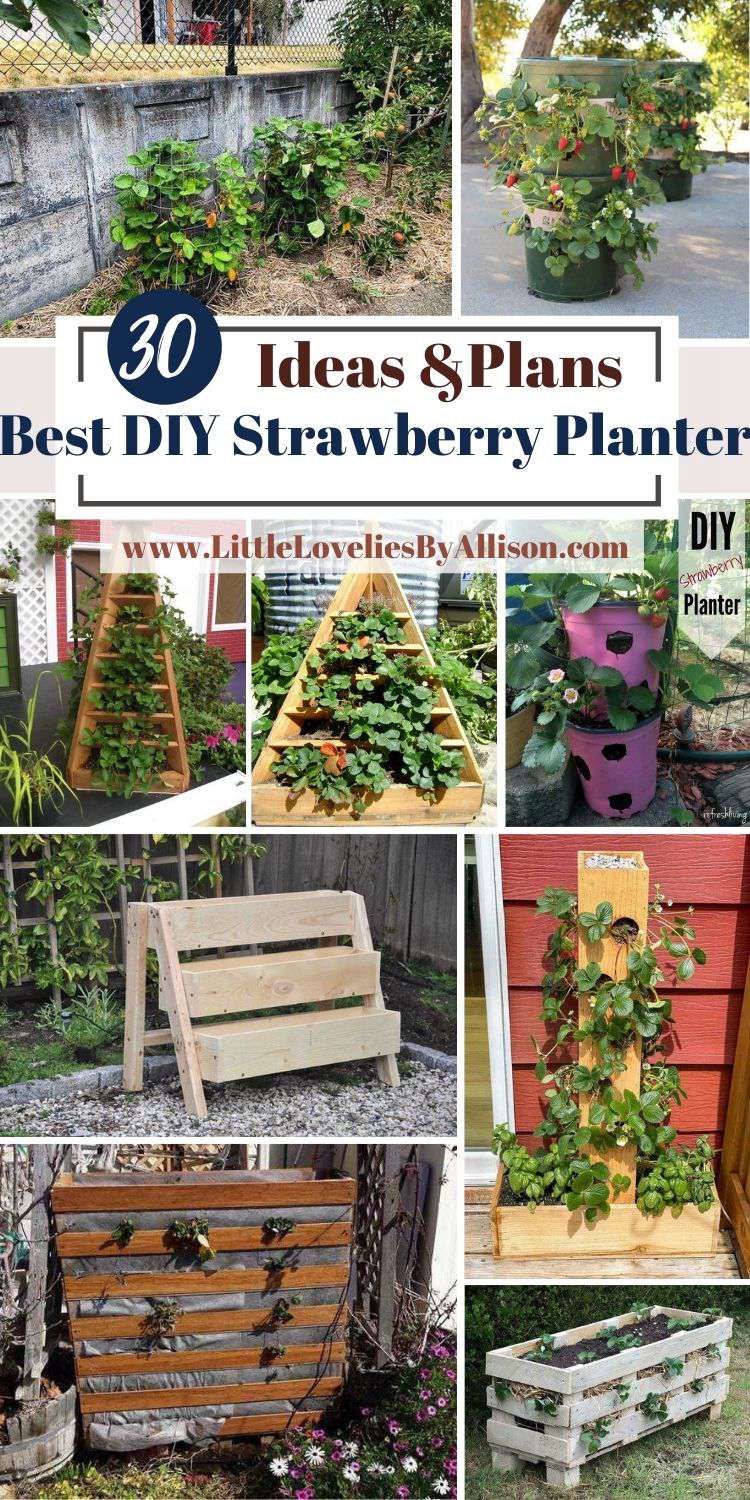 30 Best DIY Strawberry Planter Ideas In 2021_ DIY With Little Cost