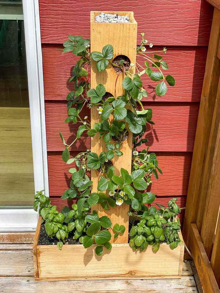 30. DIY Strawberry Planter