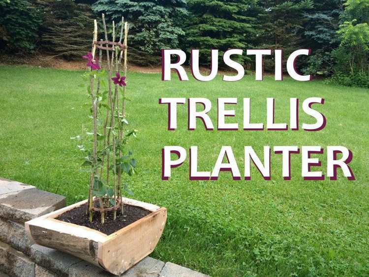 32. DIY Rustic Trellis Planter