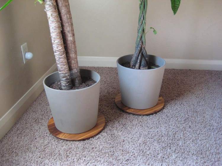 36. DIY Low Plant Stand