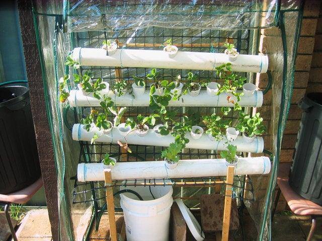 4. DIY Hydroponic Food Factory