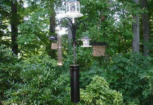 5. DIY Squirrel Baffle Bird Feeder