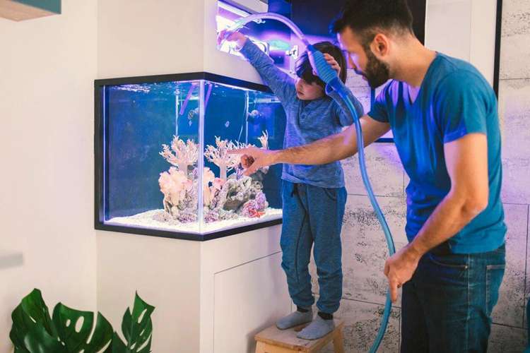 6. How To Build An Aquarium At Home