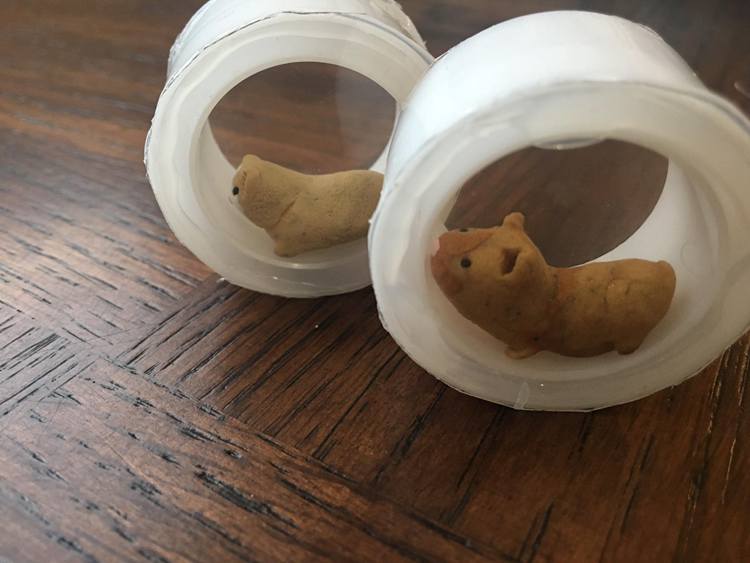 7. DIY Hamster Race Toy