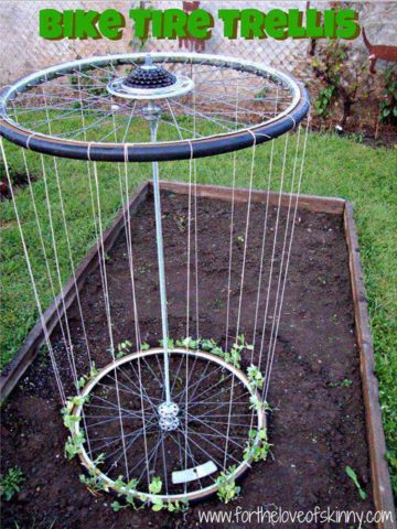 DIY Trellis Ideas