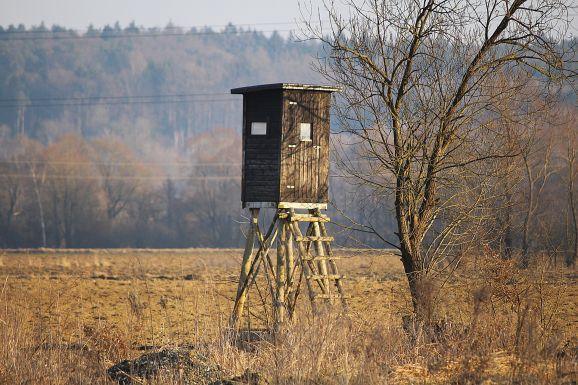 15. How To Build An Inexpensive Deer Blind