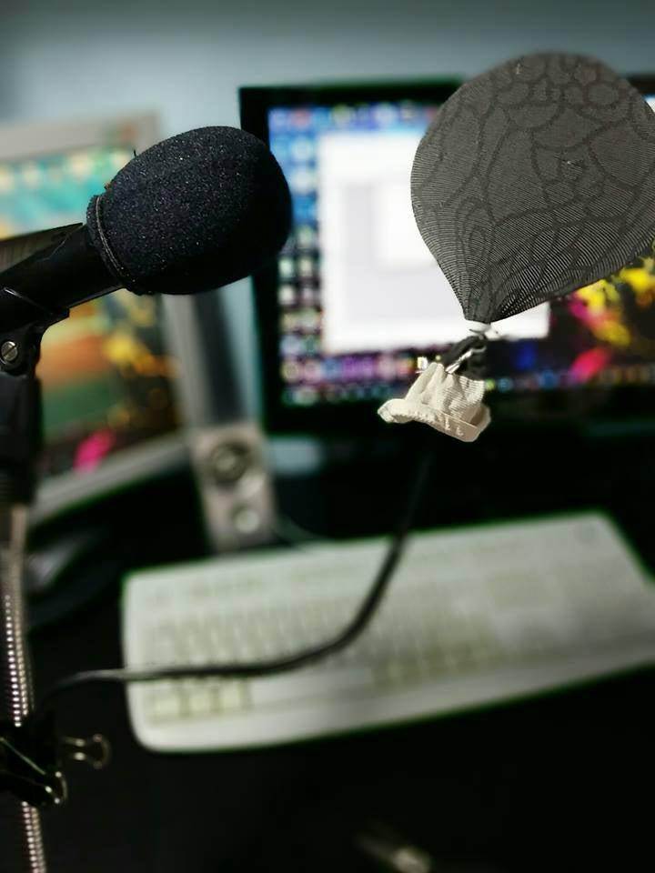 17. DIY Pop Filter