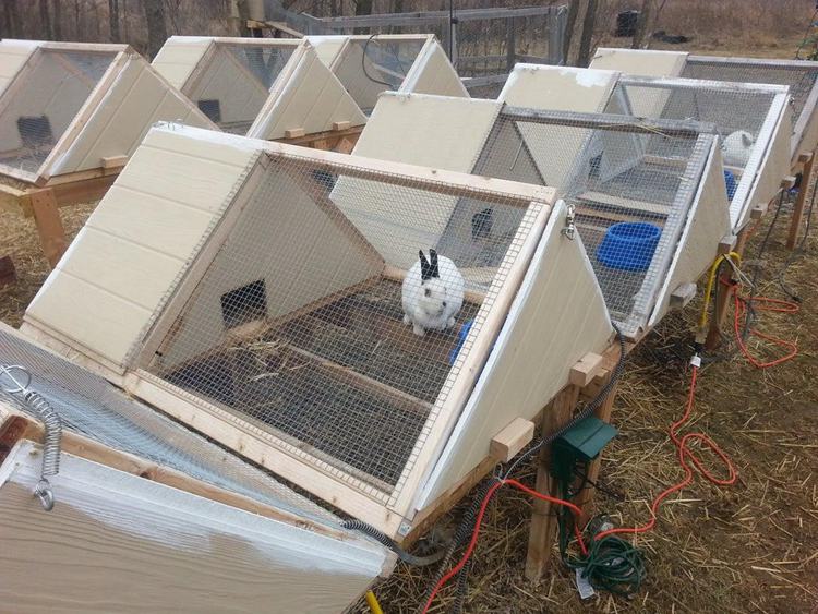 18. DIY A-Frame Rabbit Hutch