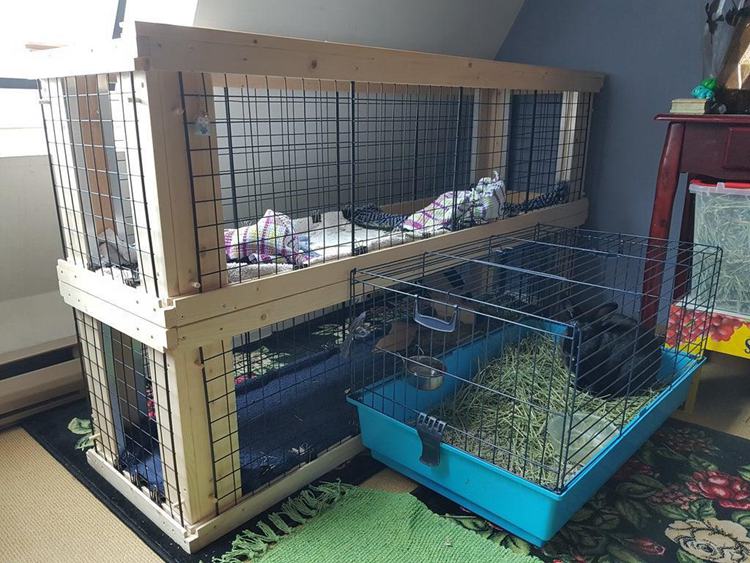 20. DIY Two Story Indoor Rabbit Hutch