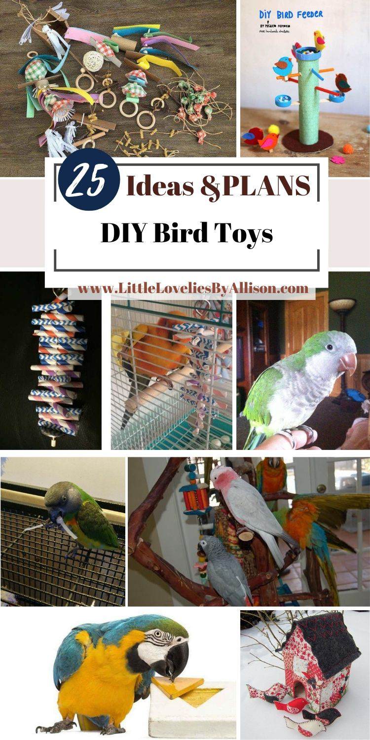 25 Diy Bird Toys How To Make The