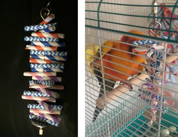 5. DIY Bird Toys With Straw