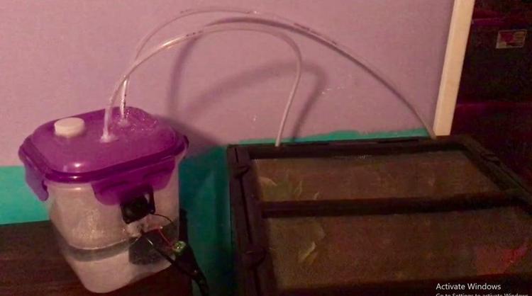 6. DIY Gecko Humidifier