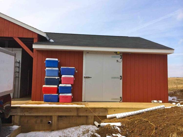 7. DIY Walk-In Freezer