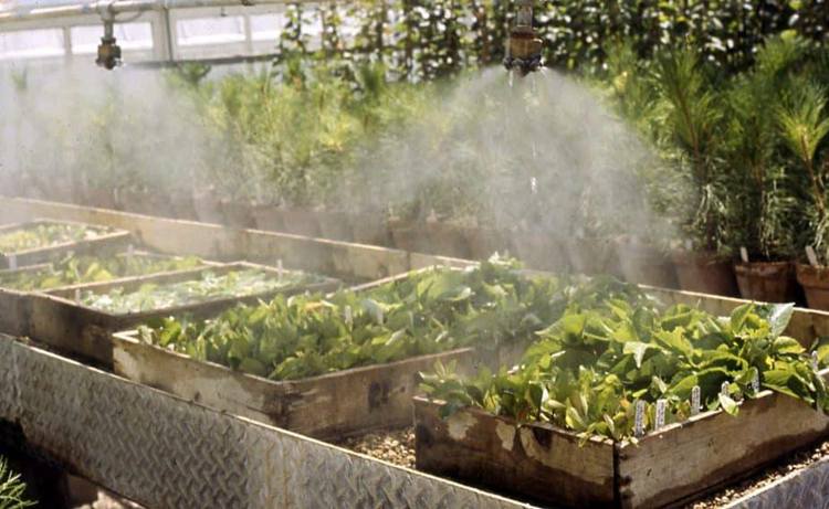 7. How To Build A Greenhouse Misting System
