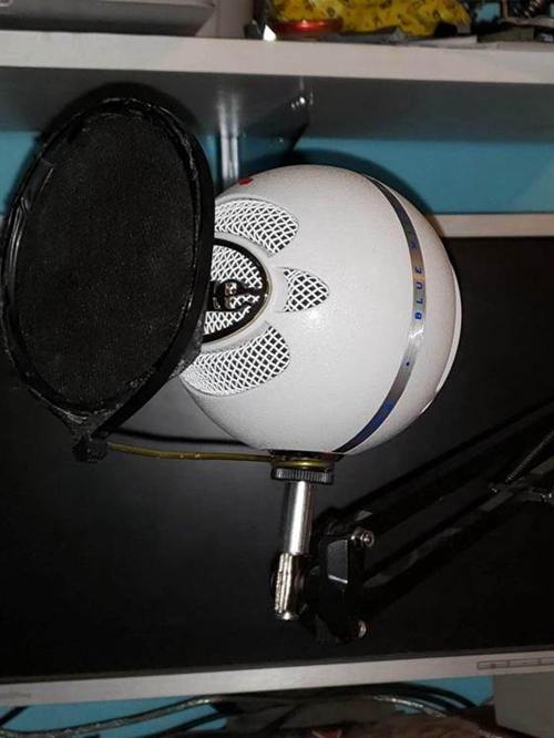 DIY Pop Filter Projects