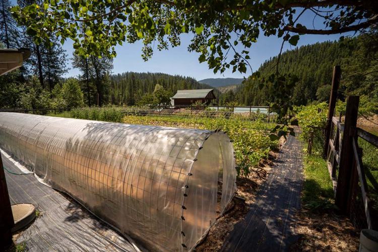 12. DIY Hoop House