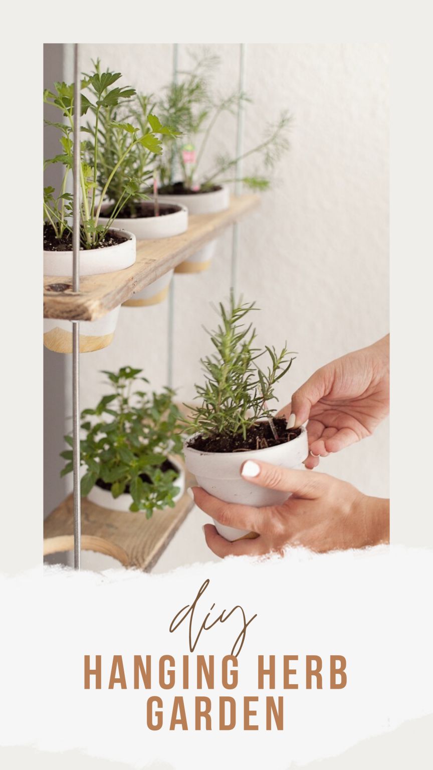 13. DIY Hanging Herb Garden Tutorial