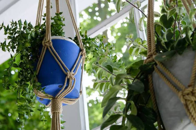 13. DIY Macrame Hanging Planter