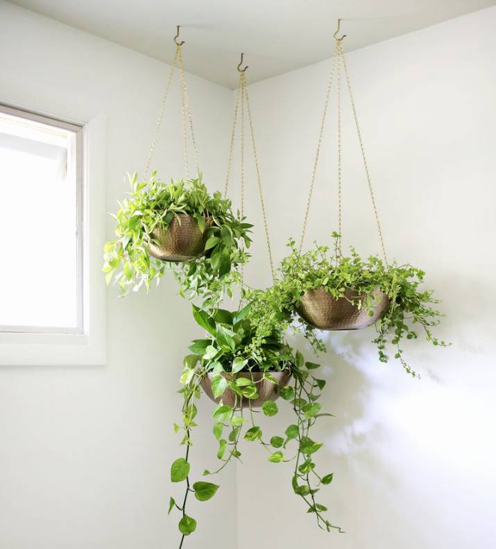 14. Easy Hanging Planter DIY