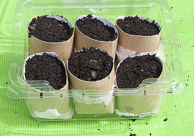 16. Mini Seedling Greenhouse DIY
