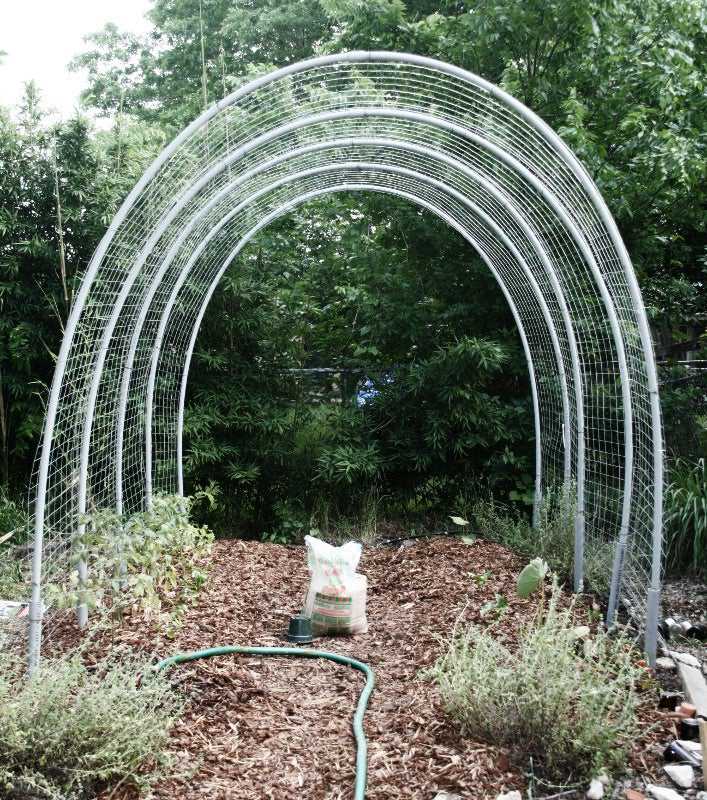 17. DIY Tomato Hoop House