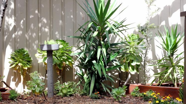 2. DIY Concrete Bird Bath