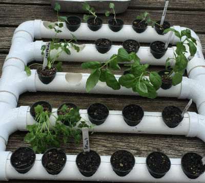 20. DIY PVC Pipe Planter