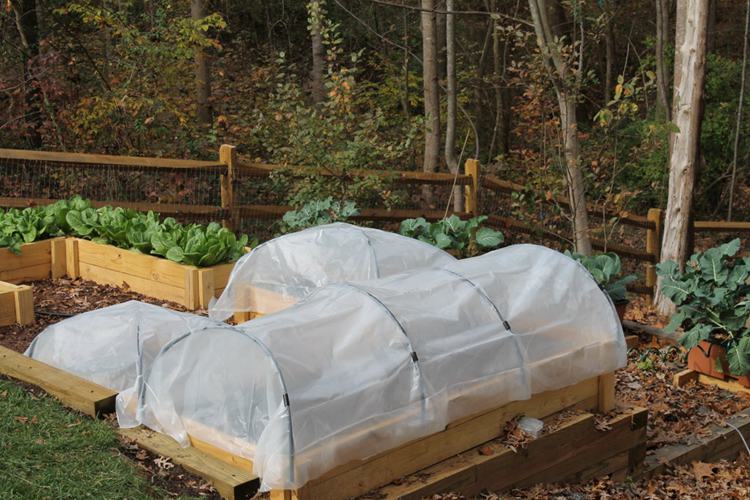 3. Simple Hoop House For Raised Beds