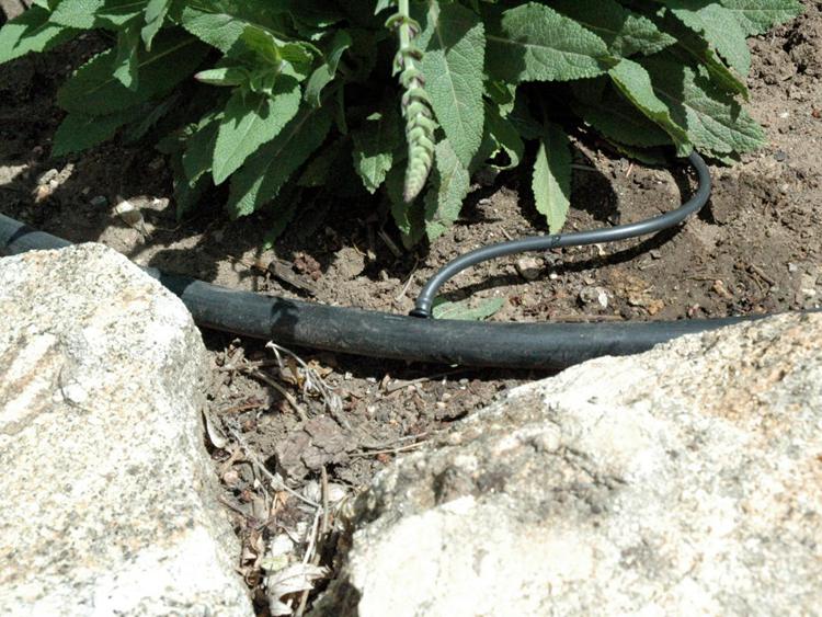 9. How To Install A Drip Irrigation System